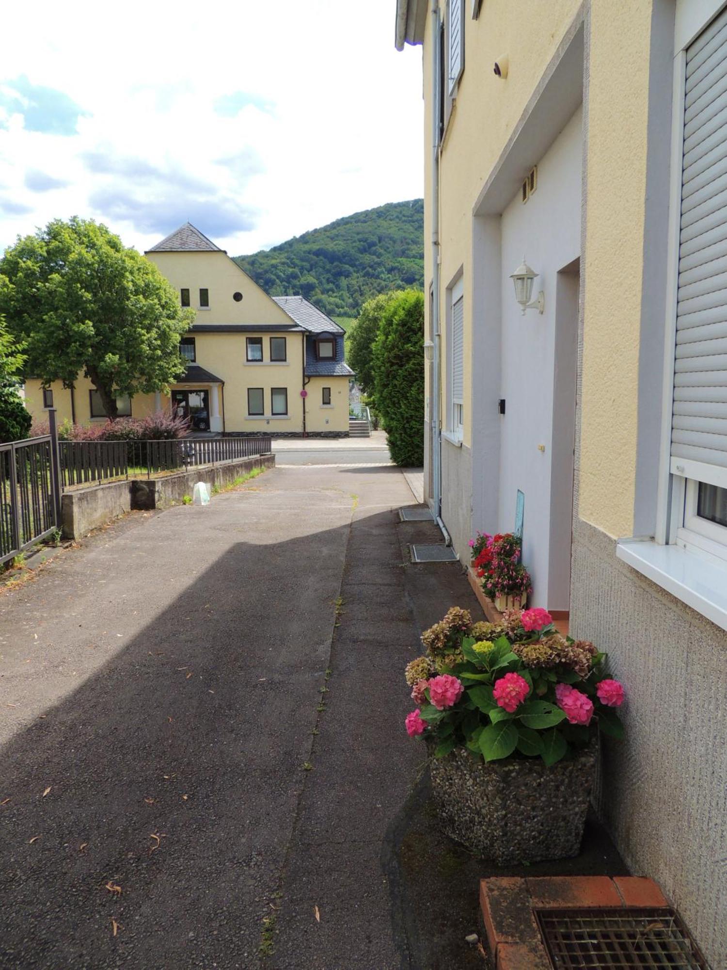 Ferienwohnung Goethe แบร์นคาสเทล-คืสท์ ภายนอก รูปภาพ