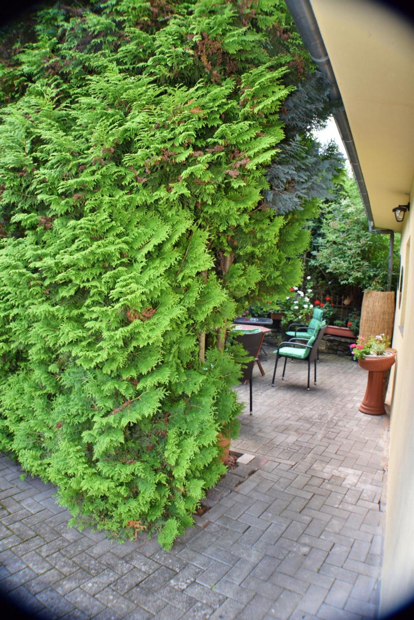 Ferienwohnung Goethe แบร์นคาสเทล-คืสท์ ภายนอก รูปภาพ